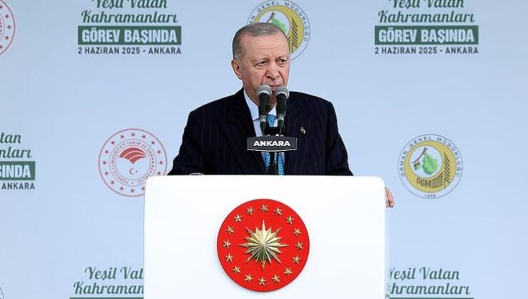 Cumhurbaşkanı Erdoğan: Orman varlığımızı en güçlü şekilde koruyup geliştirmeye devam edeceğiz