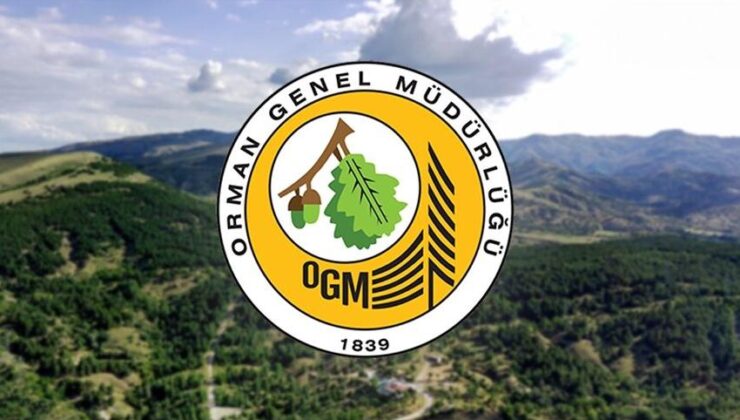 Orman Genel Müdürlüğünün 496 sözleşmeli personel alımına ilişkin detaylar belli oldu