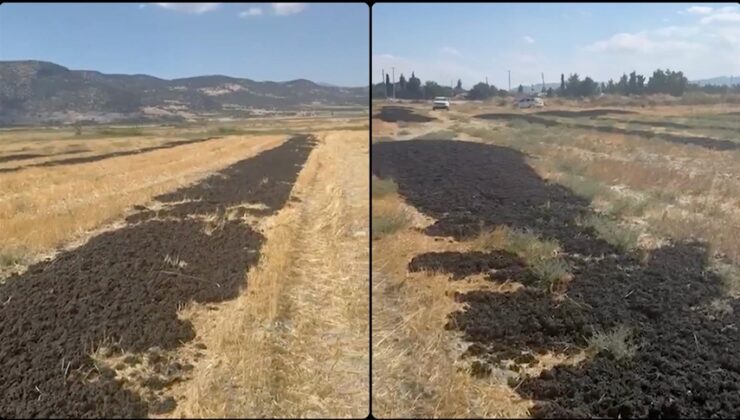 Antalya’da arıtma tesisinden çıkan çamuru Burdur’da boş araziye döken firmaya 48,6 milyon lira ceza