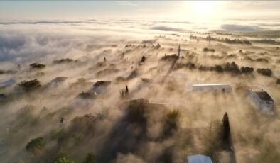 Tekirdağ sis etkili oldu