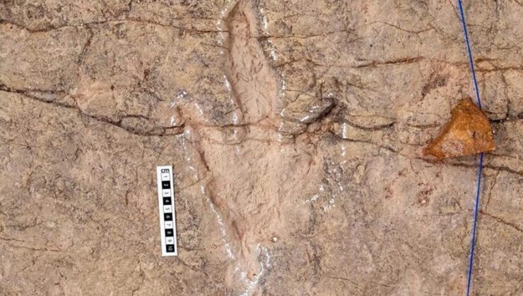 Bilim insanları, Bolivya’da dinozorlara ait 16 bin 600 ayak izi belgeledi