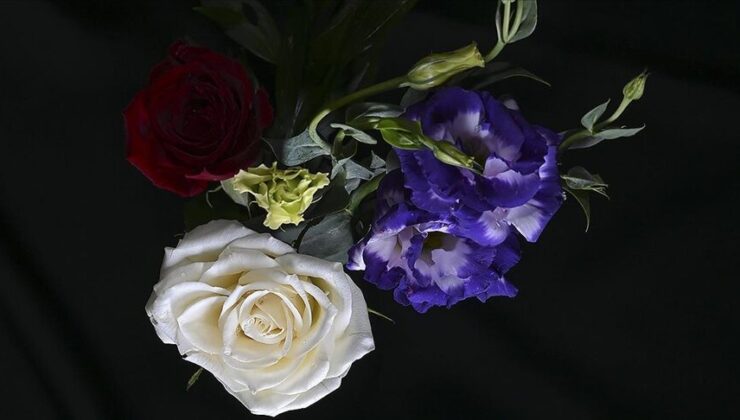 Türkiye’den yılbaşı için 12 milyon dolarlık çiçek ihracatı