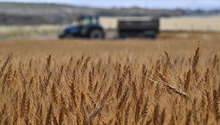 Tarımsal girdi fiyat endeksi ekimde yıllık yüzde 33,66, aylık yüzde 2,04 arttı