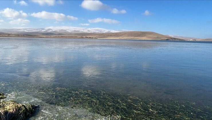 Çıldır Gölü’nün yüzeyi donmaya başladı