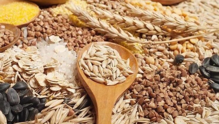 Güneydoğu’dan 11 ayda 3,2 milyar dolarlık hububat ihracatı yapıldı