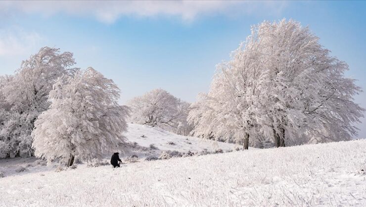 Istranca Ormanları karla kaplanınca ortaya kartpostallık görüntüler çıktı