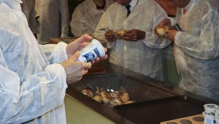 Eğitim-öğretim yılının ilk yarısında 23 bin 227 okul kantini denetlendi