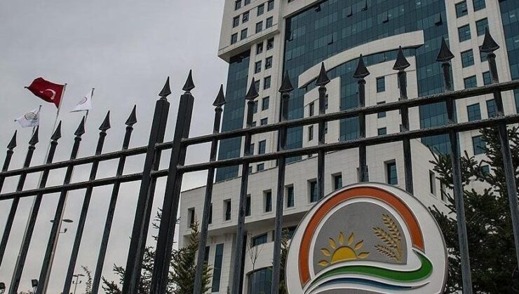 Tahıl tohumluklarının sertifikasyon işlemleri Tohumluk Yönetim Sistemi üzerinden yürütülecek