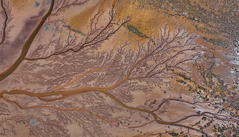 Tuzla Palas Gölü’nü besleyen suların oluşturduğu izler ağaç dallarını andırıyor