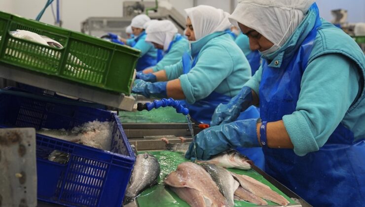 Su ürünlerinde iki aylık ihracattaki yüksek artış, yeni rekor beklentisini artırdı