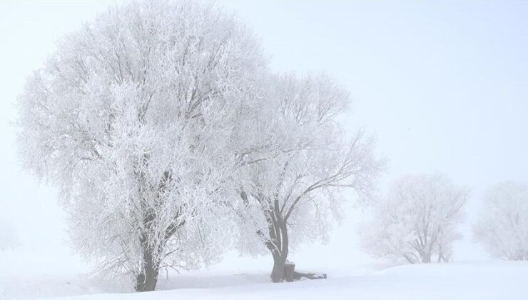 Erzurum, Ardahan, Kars ve Ağrı’da dondurucu soğuk hava etkili oluyor