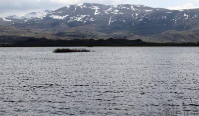 Ulaş Gölü’nde doluluk oranı zirveye ulaştı