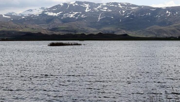 Ulaş Gölü’nde doluluk oranı zirveye ulaştı