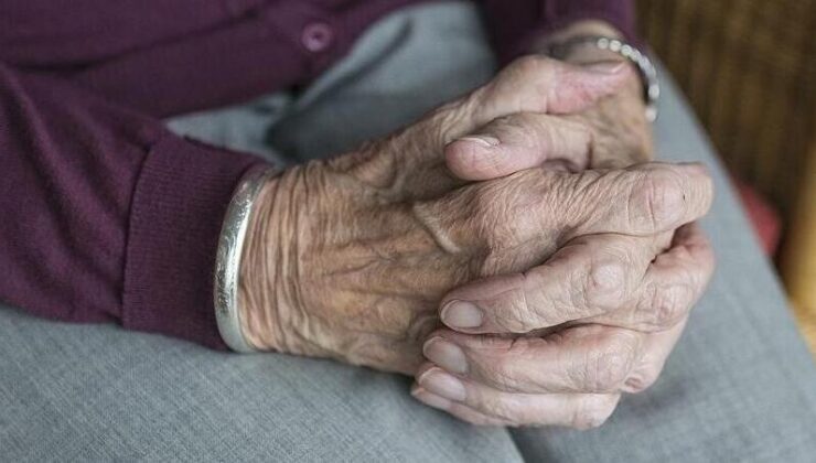 D vitamini düzeyi ile Alzheimer biyobelirteçleri arasında ilişki olabileceği belirlendi