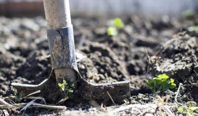 Gübre ürün grubundaki katı amonyum nitrat ve monoamonyum fosfatın gümrük vergisi sıfırlandı