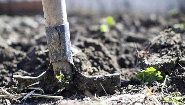 Gübre ürün grubundaki katı amonyum nitrat ve monoamonyum fosfatın gümrük vergisi sıfırlandı