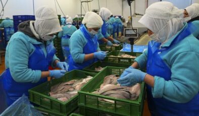 Türkiye geçen yıl 133 ülkeye 2,2 milyar dolarlık su ürünleri ihraç etti