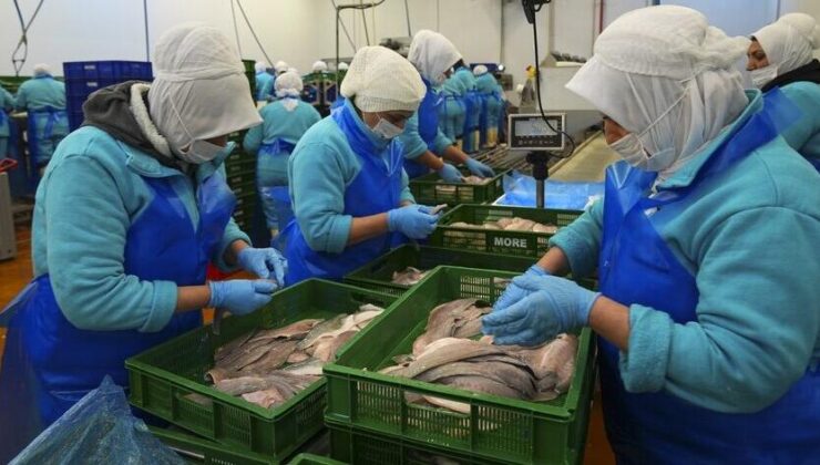Türkiye geçen yıl 133 ülkeye 2,2 milyar dolarlık su ürünleri ihraç etti