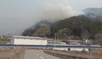 Japonya’nın kuzeydoğusundaki orman yangınları 11. gününde kontrol altına alındı