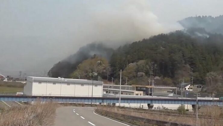 Japonya’nın kuzeydoğusundaki orman yangınları 11. gününde kontrol altına alındı