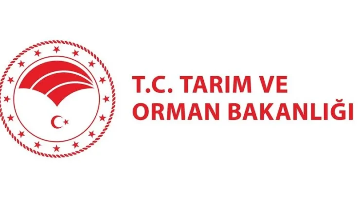 Tarım ve Orman Bakanlığı: Tarımsal üretimi tehdit eden herhangi bir çekirge istilası tespit edilmemiştir