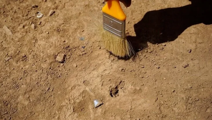 İsveç’te hamile bir kadına ait 9 bin yıllık kalıntılar bulundu
