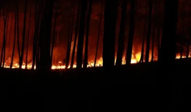 Fransa’nın Landes vilayetindeki orman yangınında 1580 hektarlık alan küle döndü