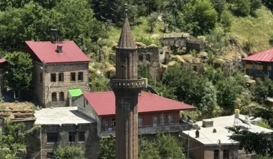 Tarihin ve doğal güzelliklerin buluştuğu şehir: Bitlis